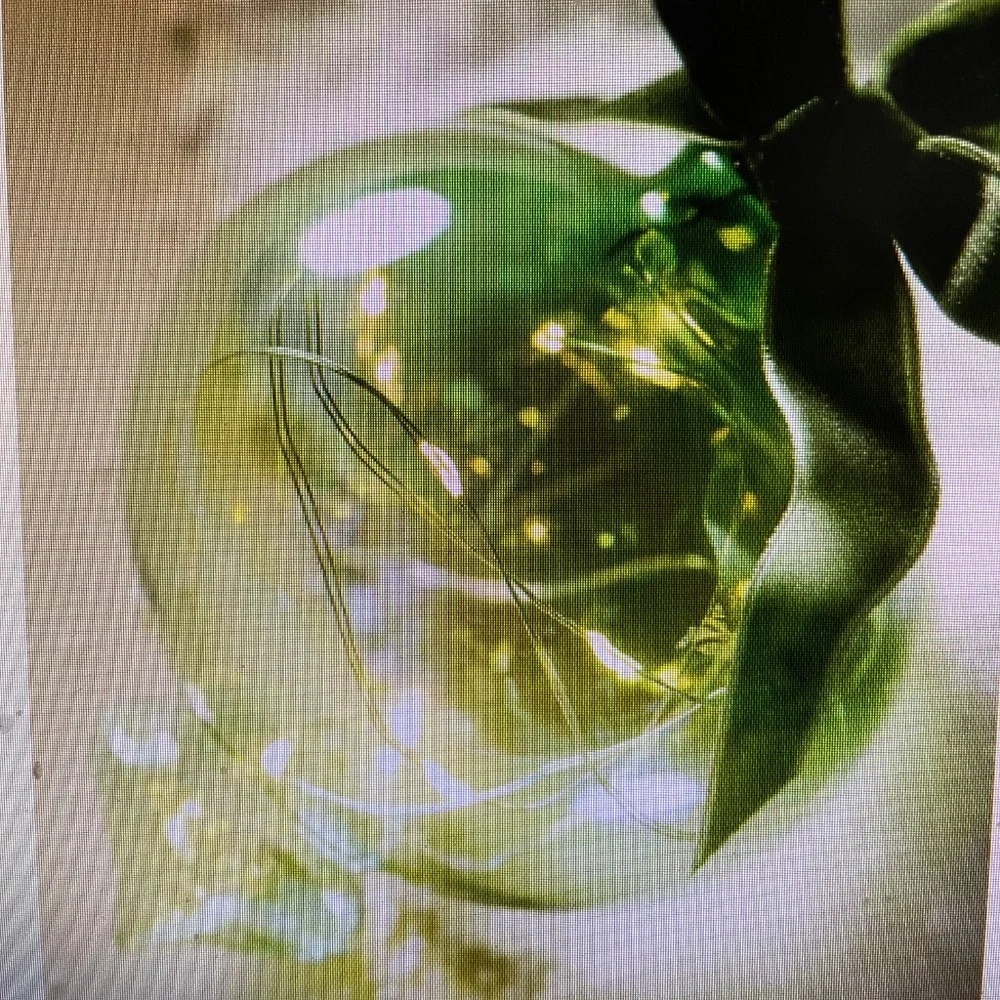 ❤️ ANTHROPOLOGIE STELLAR GLASS LIGHT UP ORNAMENT GREEN NEW